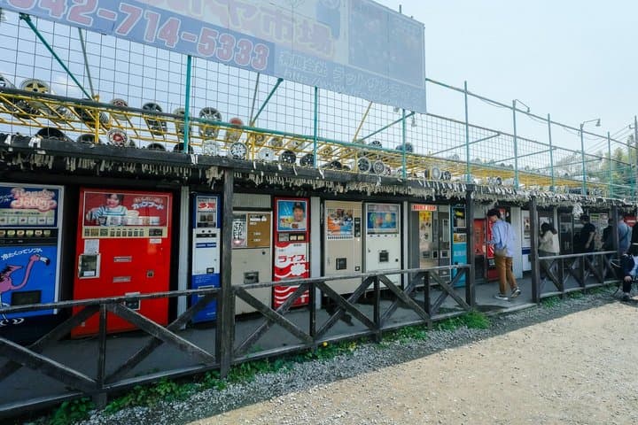 (Private car)Fake It Then Taste It:Japan’s Quirky Cuisine Journey — photo 10