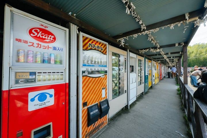 (Private car)Fake It Then Taste It:Japan’s Quirky Cuisine Journey — photo 5