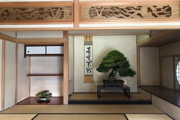 Omiya Bonsai Museum and Village Guided Tour Near Tokyo — photo 2
