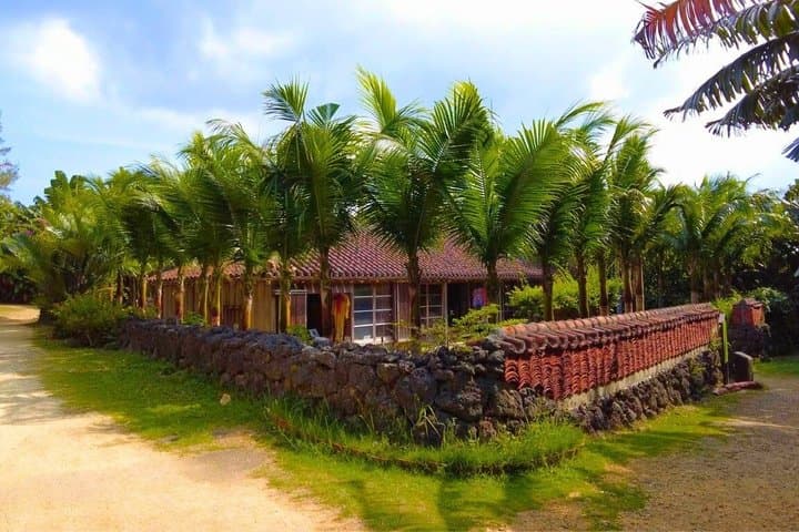 All-Inclusive Ishigaki Island Shore Excursion with English Guide — photo 7