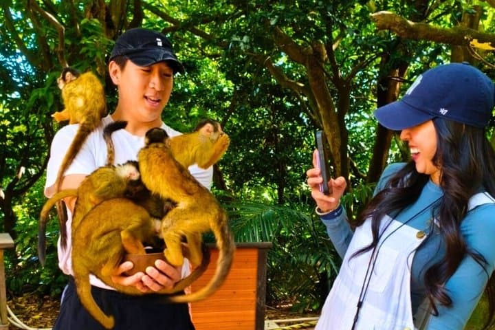 All-Inclusive Ishigaki Island Private tour with English Guide — photo 18