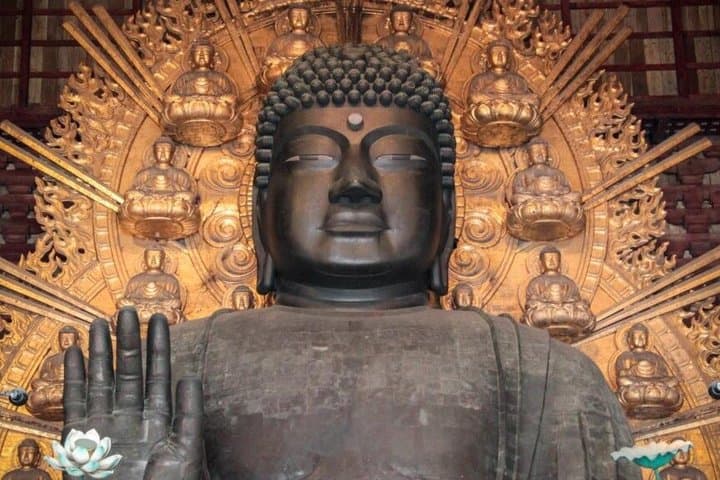 Osaka and Nara Minivan Tour with Small Group from Kyoto — photo 6