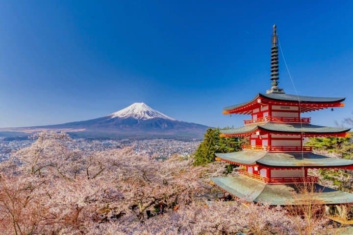 Mount Fuji Private Day Tour with English Speaking Driver — photo 2