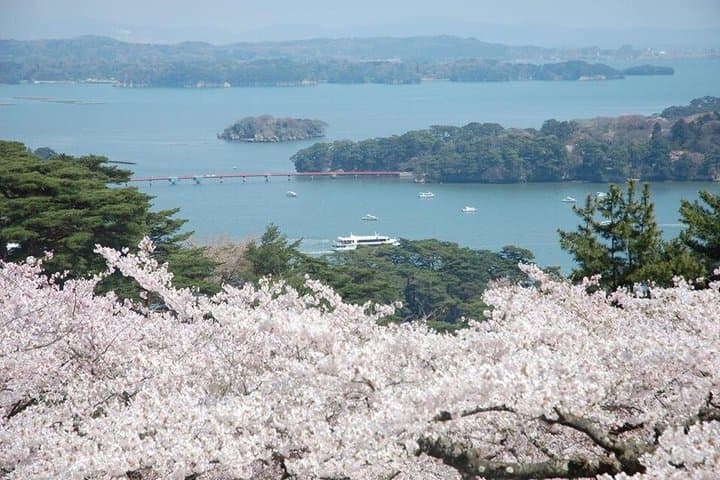Day Tour from Sendai Matsushima Bay Scenic Highlights — photo 13