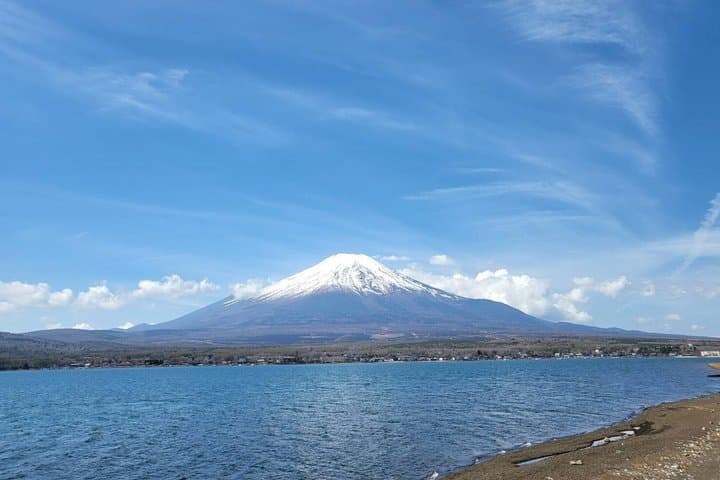 Mt. Fuji Private Car Tour from Tokyo — photo 11