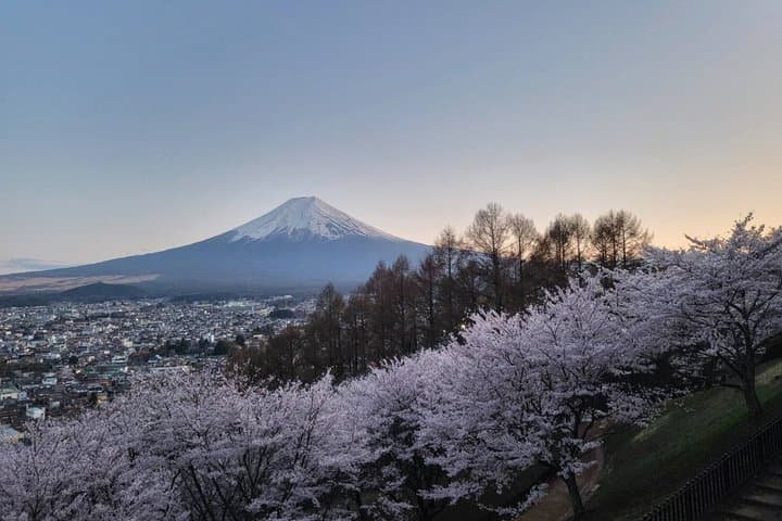 Mt. Fuji Private Car Tour from Tokyo — photo 13