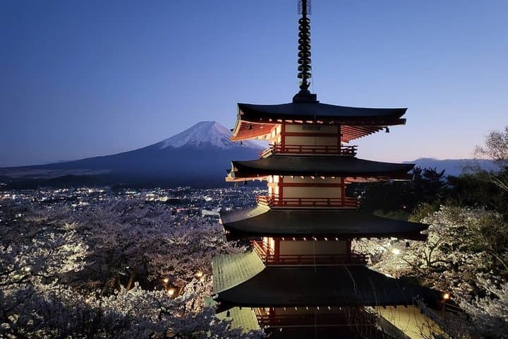Mt. Fuji Private Car Tour from Tokyo — photo 3