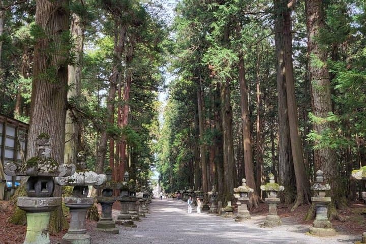 Mt. Fuji Private Car Tour from Tokyo — photo 15