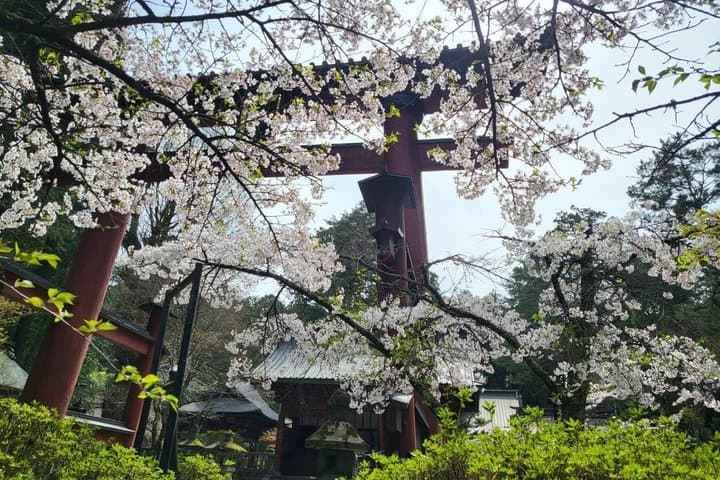 Mt. Fuji Private Car Tour from Tokyo — photo 16