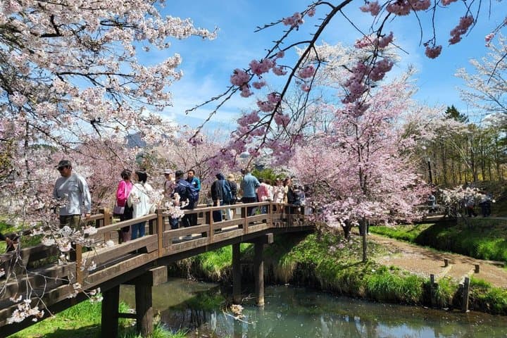 Mt. Fuji Private Car Tour from Tokyo — photo 7