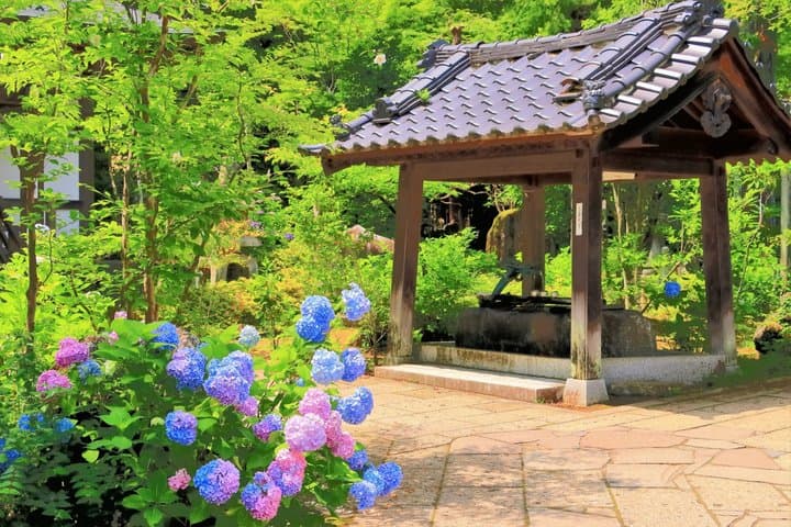 Half Day Tour in Sendai Kitayama Gozan & Sendai Daikannon Statue — photo 9