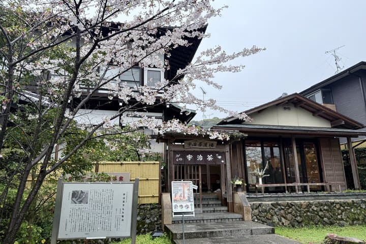 Kyoto Walking Series: Green Tea and Aristocratic Culture in Uji — photo 6
