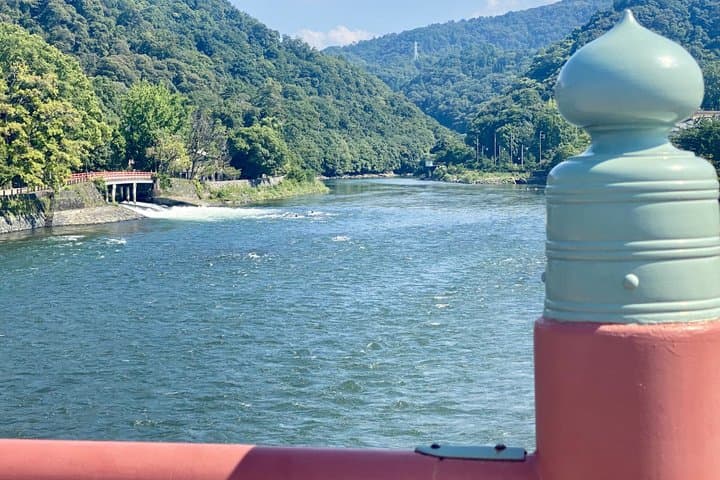 Kyoto Walking Series: Green Tea and Aristocratic Culture in Uji — photo 11