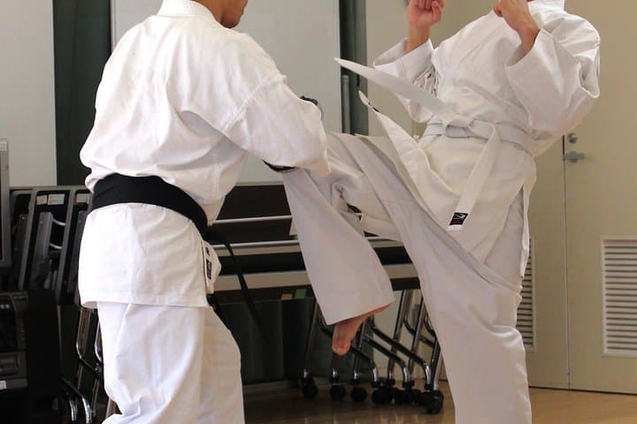 Tokyo: Karate Experience with Former All-Japan Champion — photo 14