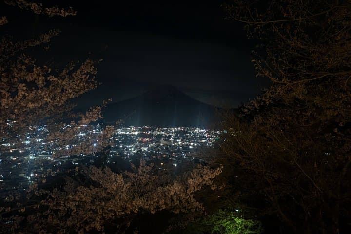 Mt. Fuji : Private Night Tour with Stargazing/Nature walk — photo 3