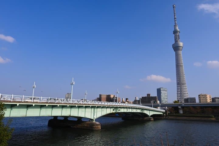 Tokyo Great Air Raid and Postwar Reconstruction History Tour — photo 2