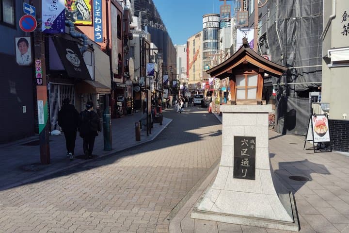 Tokyo Great Air Raid and Postwar Reconstruction History Tour — photo 9
