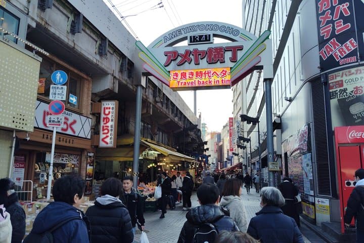 Tokyo Great Air Raid and Postwar Reconstruction History Tour — photo 6