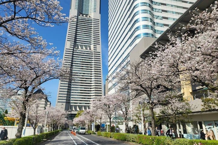 Private Yokohama and Tokyo City Car Tour — photo 11