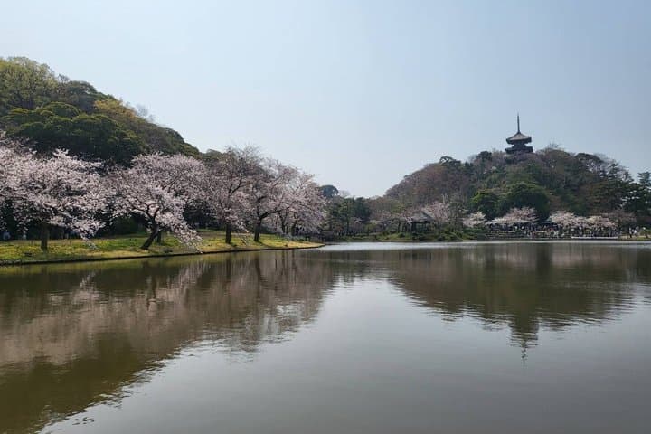 Private Yokohama and Tokyo City Car Tour — photo 13