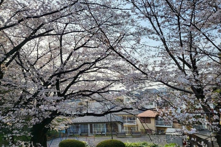 Private Yokohama and Tokyo City Car Tour — photo 18
