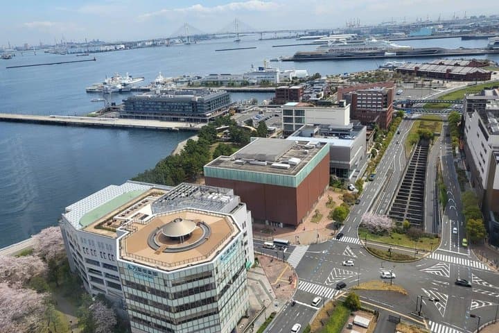 Private Yokohama and Tokyo City Car Tour — photo 9