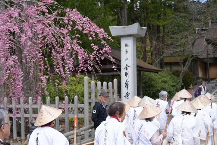 Koyasan Spiritual Day Trip: Goma Fire Ritual & Okunoin Forest — photo 4