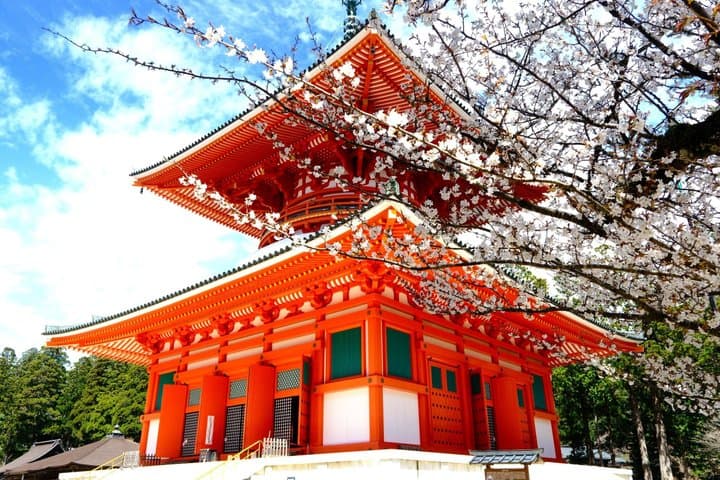 Koyasan Spiritual Day Trip: Goma Fire Ritual & Okunoin Forest — photo 5