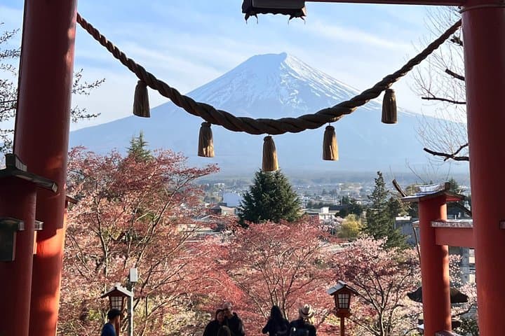 Private Car tour to Mt. Fuji/Hakone with English Driver/Guide — photo 7