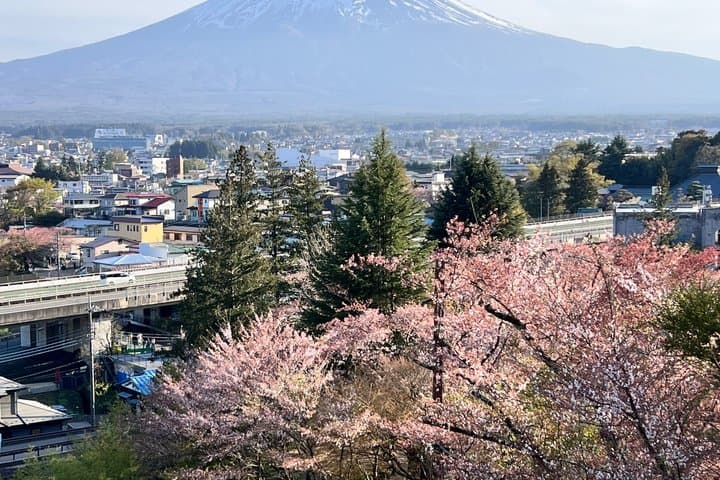 Private Car tour to Mt. Fuji/Hakone with English Driver/Guide — photo 8