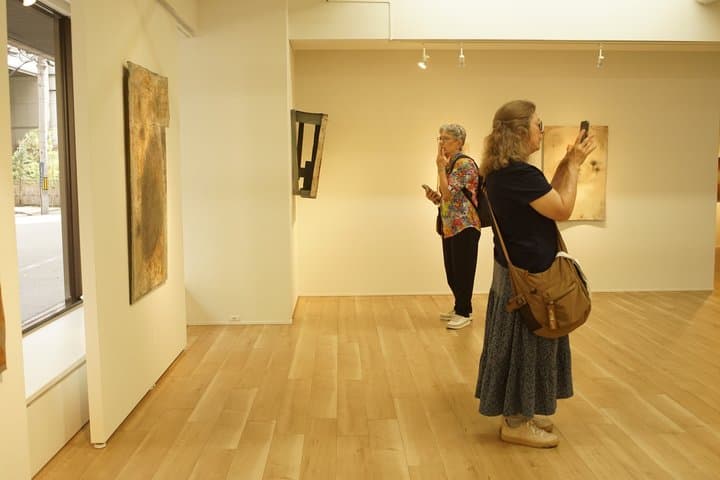 Not Your Typical Osaka Tour — Hidden Art Galleries & Local Lunch — photo 3