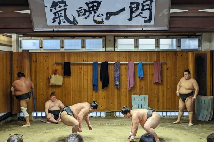 Sumo Practice Viewing Guided Tour and Photo with Sumo Wrestlers — photo 6