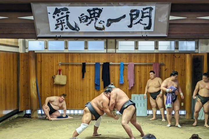 Sumo Practice Viewing Guided Tour and Photo with Sumo Wrestlers — photo 2