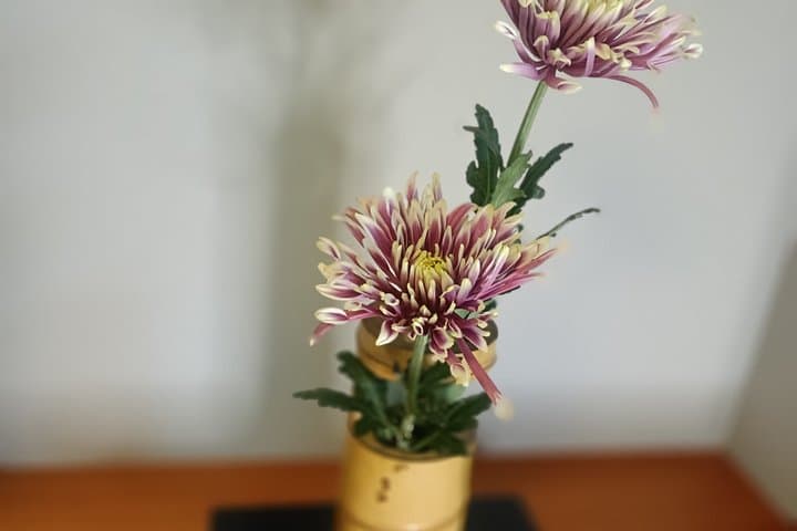 Experience Authentic Japanese Dance in a Private Studio Session — photo 10