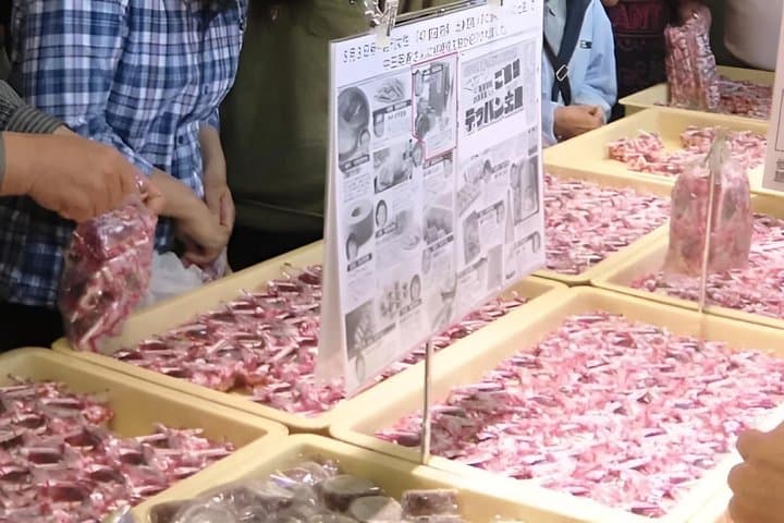 Mt Fuji View Day Trip from Tokyo with Shine Muscat Grape Picking — photo 6