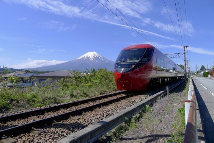 Mt Fuji View Day Trip from Tokyo with Shine Muscat Grape Picking — photo 2