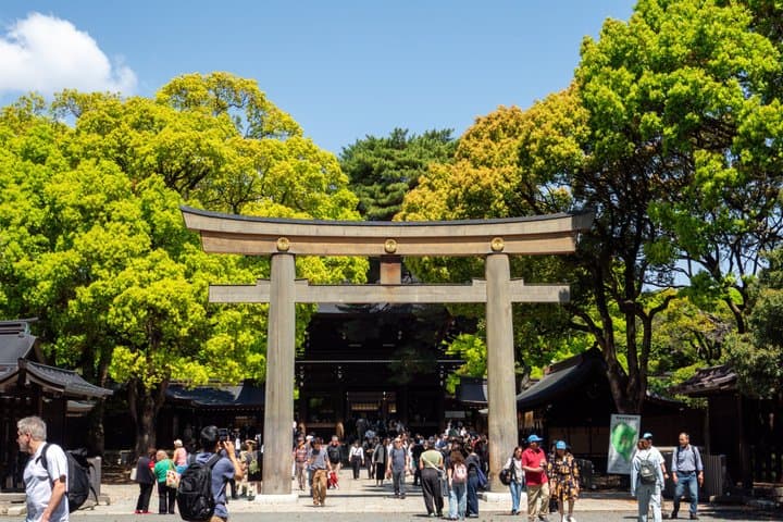 Tokyo Meiji Shrine and Shinto Culture Walking Tour — photo 1