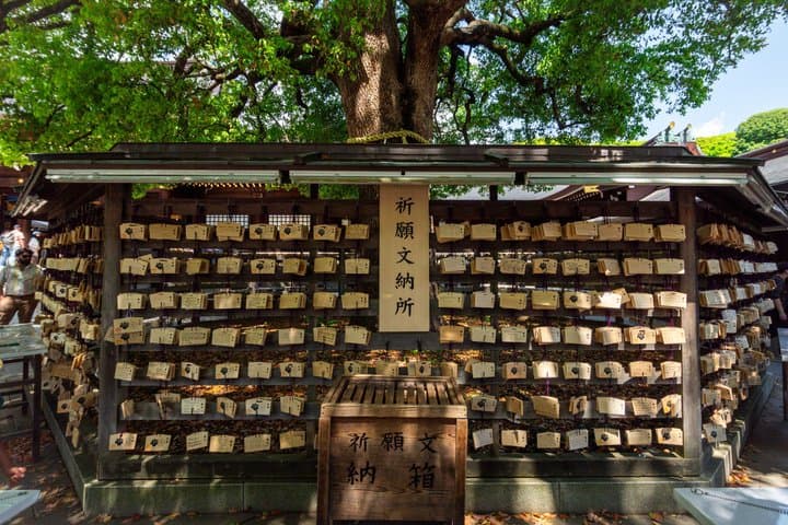 Tokyo Meiji Shrine and Shinto Culture Walking Tour — photo 10