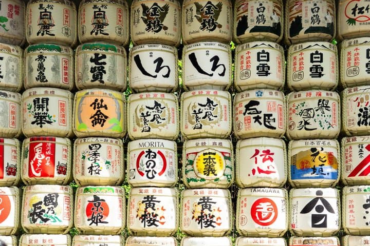 Tokyo Meiji Shrine and Shinto Culture Walking Tour — photo 3