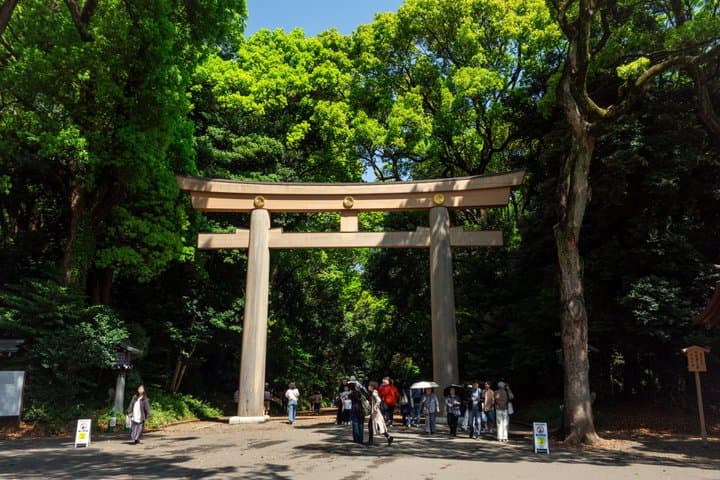 Tokyo Meiji Shrine and Shinto Culture Walking Tour — photo 13