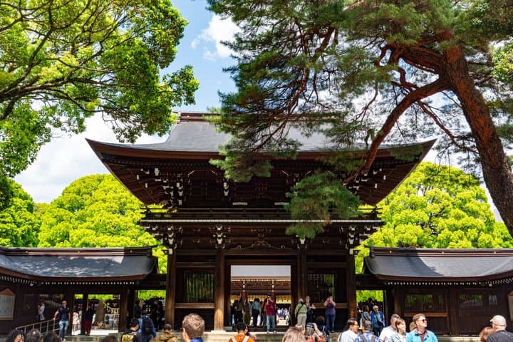 Tokyo Meiji Shrine and Shinto Culture Walking Tour — photo 5