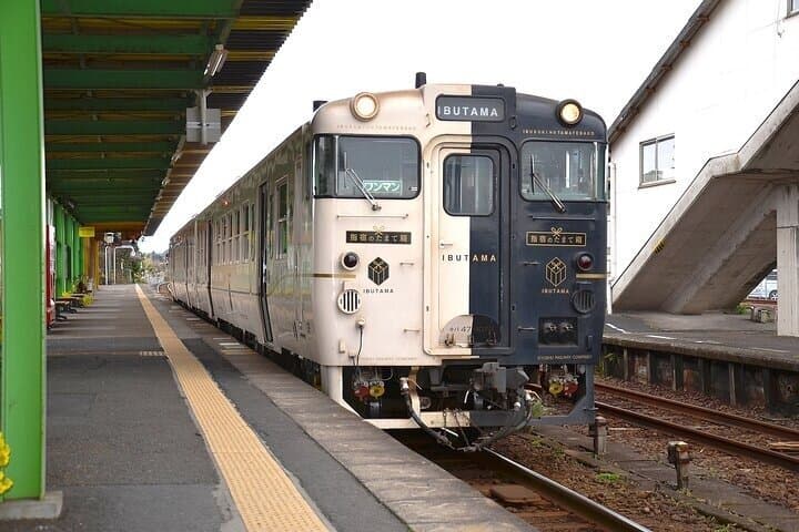 Kagoshima: Ibusuki Scenic Train & Sand Bath One-Day Tour — photo 2