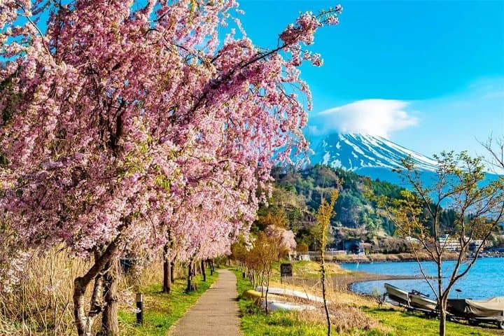 From Tokyo: Mount Fuji Day Trip to Trendy Spots — photo 2
