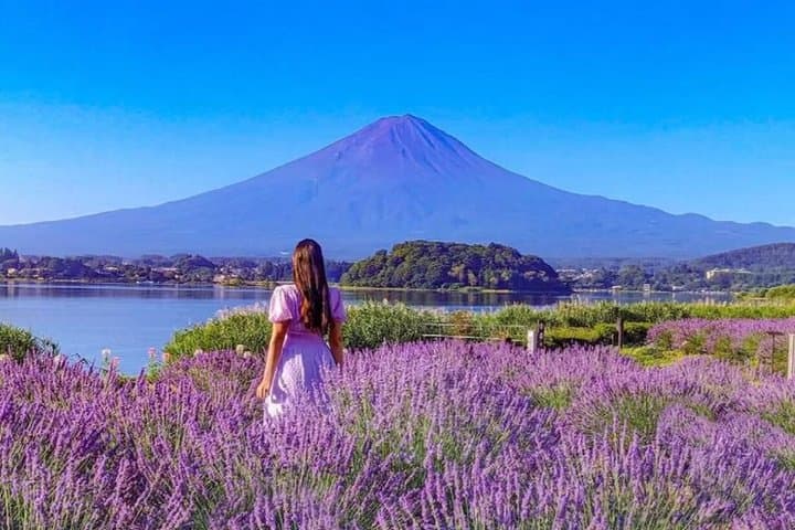 From Tokyo: Mount Fuji Day Trip to Trendy Spots — photo 9