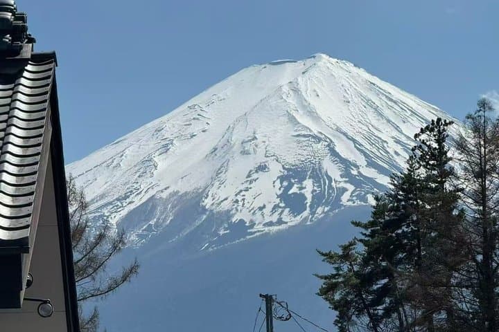Private Scenic Day Tour in Mt. Fuji and Kawaguchiko