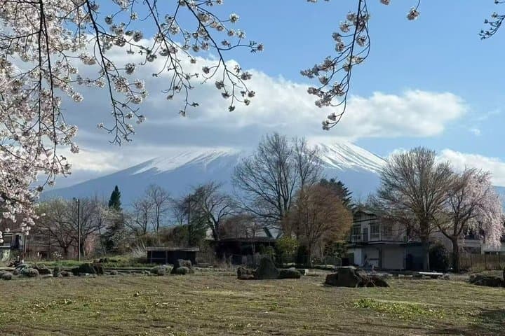 Private Scenic Day Tour in Mt. Fuji and Kawaguchiko — photo 3