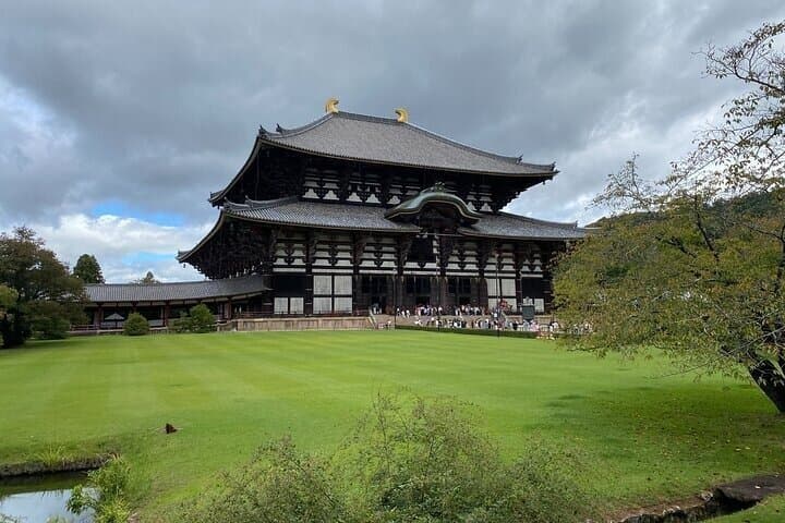 Nara Day Trip from Osaka with Deer Temple and Old Town Walk — photo 5