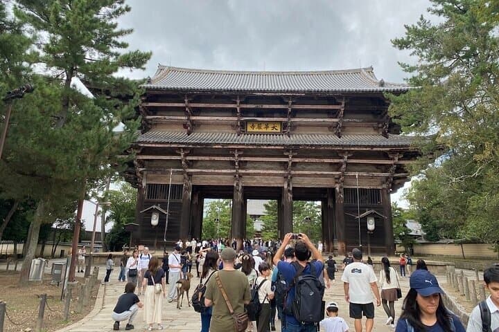 Nara Day Trip from Osaka with Deer Temple and Old Town Walk — photo 6