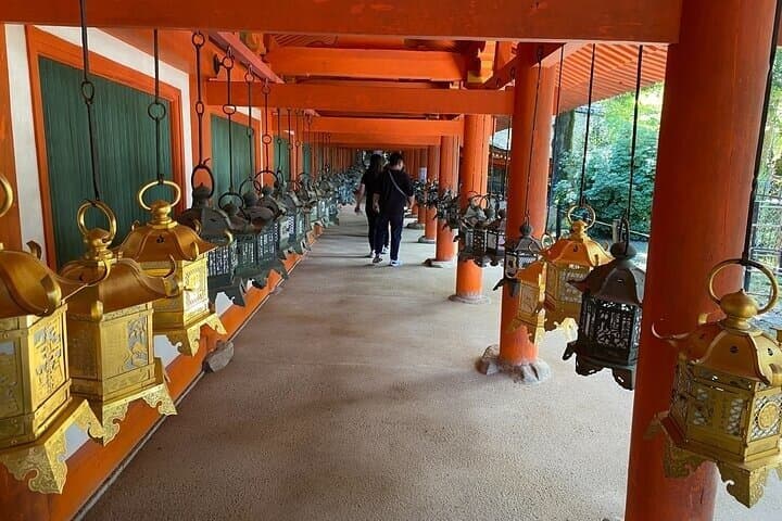 Nara Day Trip from Osaka with Deer Temple and Old Town Walk — photo 12