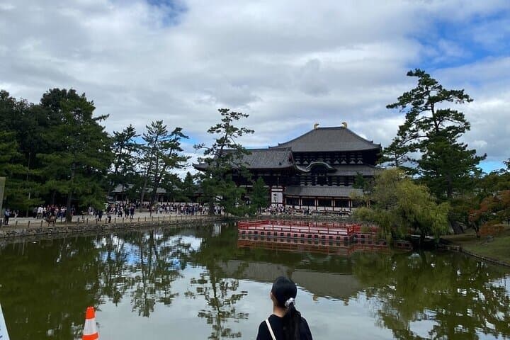 Nara Day Trip from Osaka with Deer Temple and Old Town Walk — photo 15